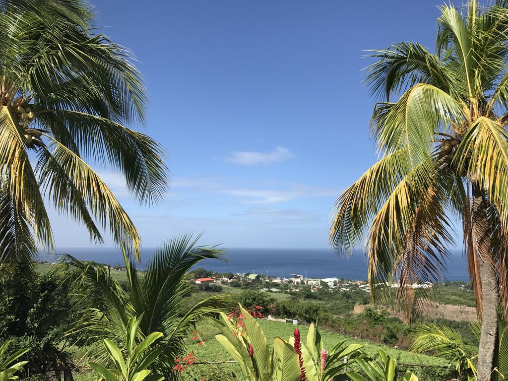 Residence Paradis Tropical Basse-Terre Exterior photo