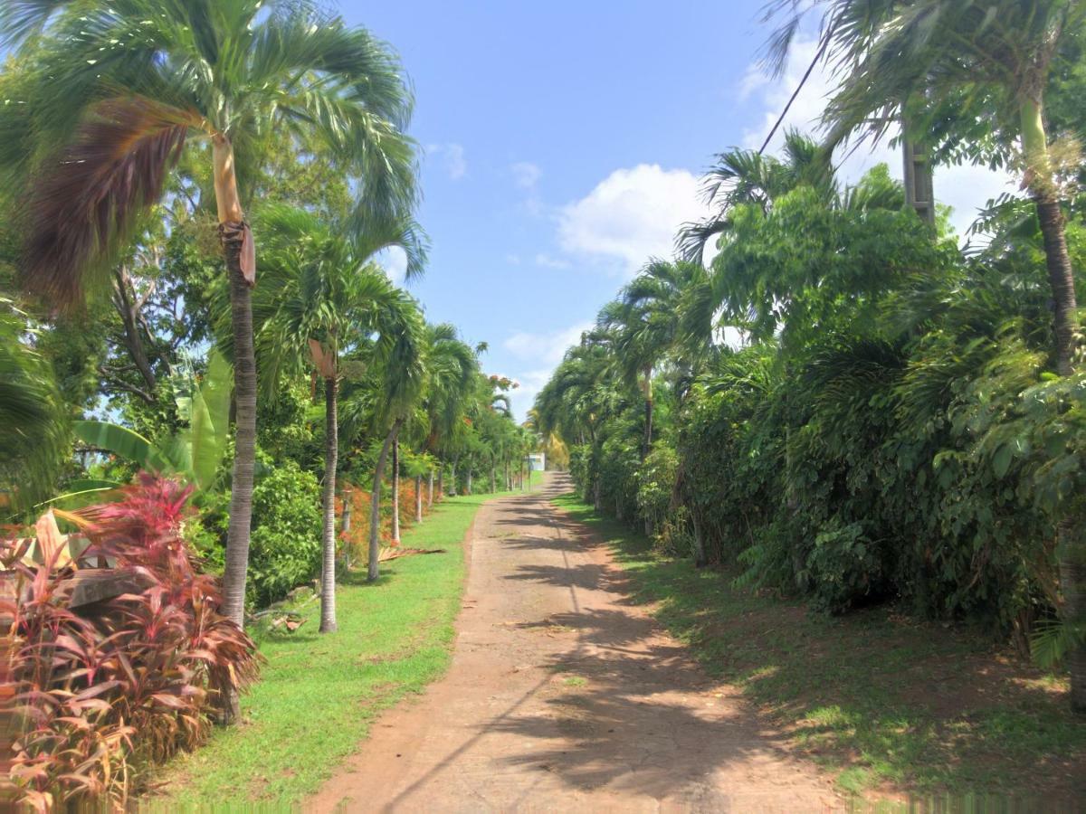 Residence Paradis Tropical Basse-Terre Exterior photo