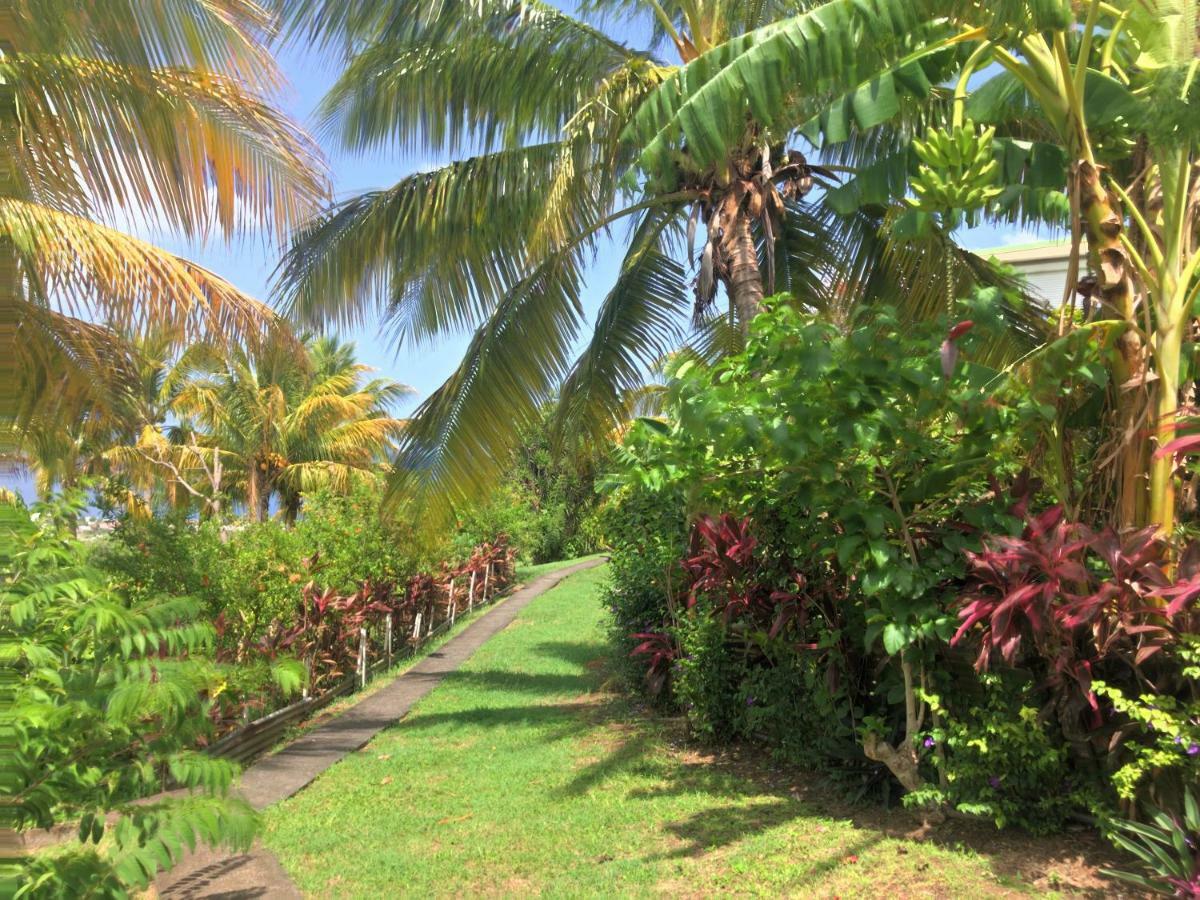 Residence Paradis Tropical Basse-Terre Exterior photo