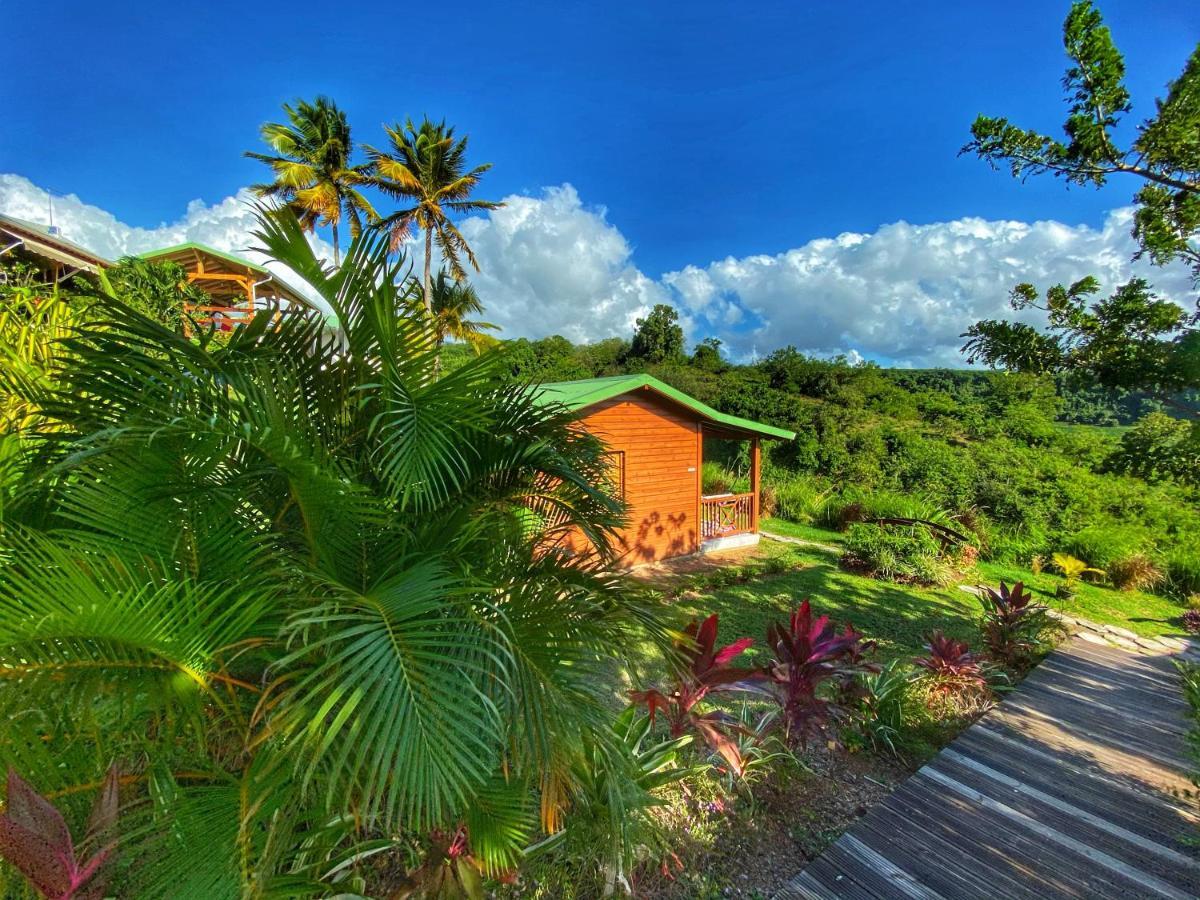 Residence Paradis Tropical Basse-Terre Exterior photo